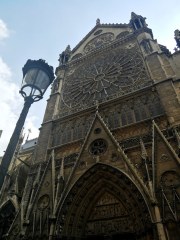 Noterdamo (Dievo Motinos) katedra. Paryžius