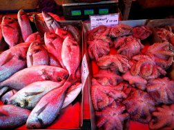 Žuvys ir aštunkojai turguje. Marsašlokas, Malta